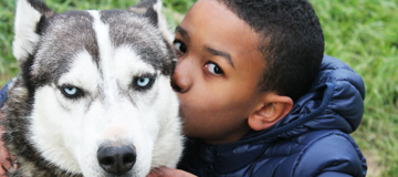 new_min_sejour colonies de vacances chiens calins 1